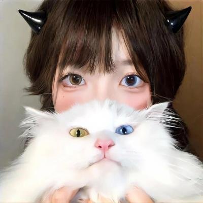 高飞